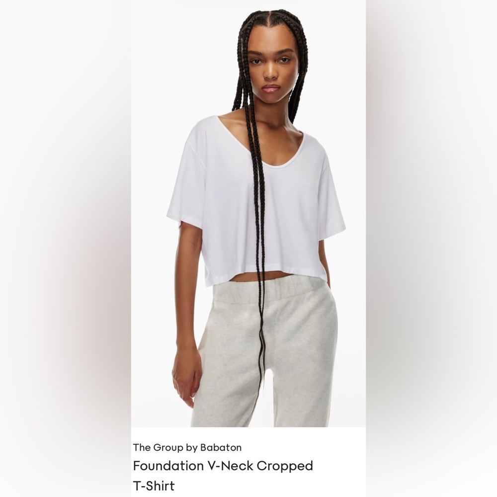 Aritzia Babaton Foundation Cropped T-Shirt